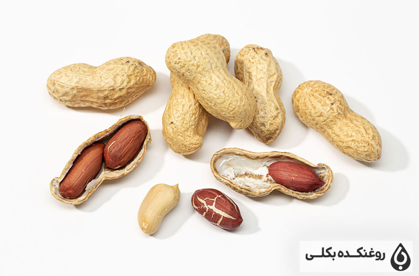 مقداری دانه بادام زمینی