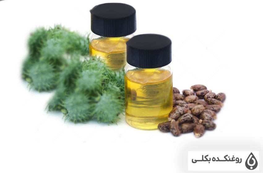 دو شیشه حاوی روغن کرچک به همراه دانه های کرچک و میوه کرچک