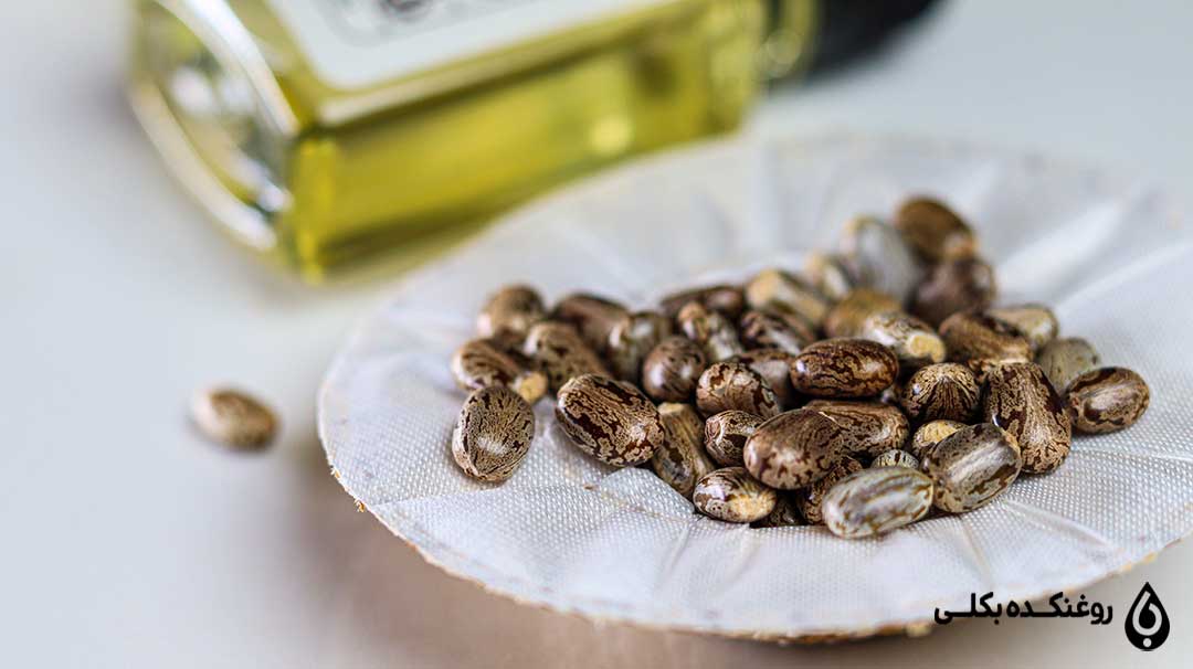 دانه های روغن کرچک در کنار بطری روغن کرچک