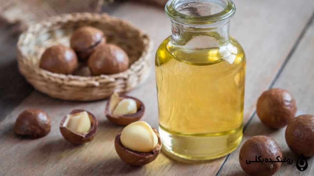 روغن ماکادمیا در کنار مغز های ماکادمیا
