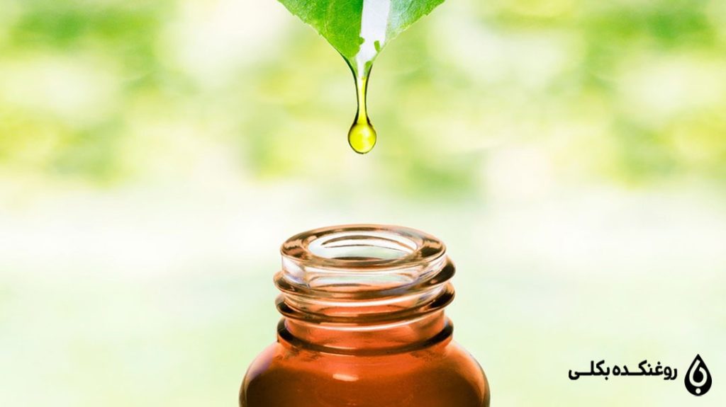 روغن درخت چای برای پولیپ بینی