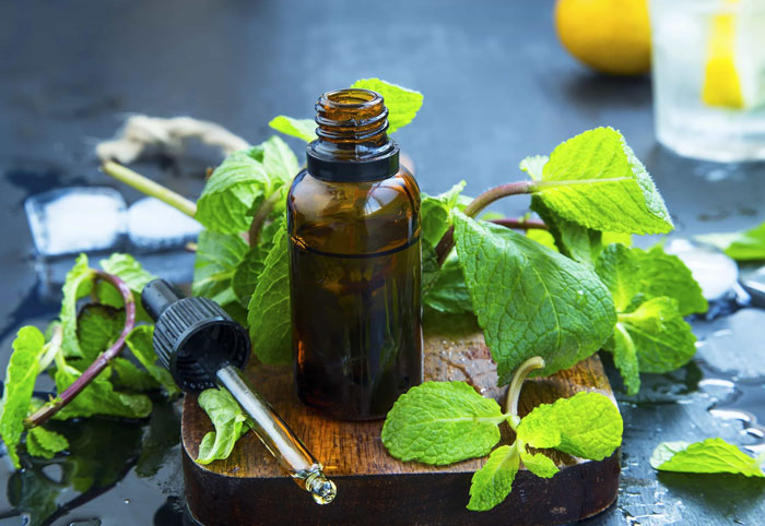 خواص روغن نعنا برای زود انزالی