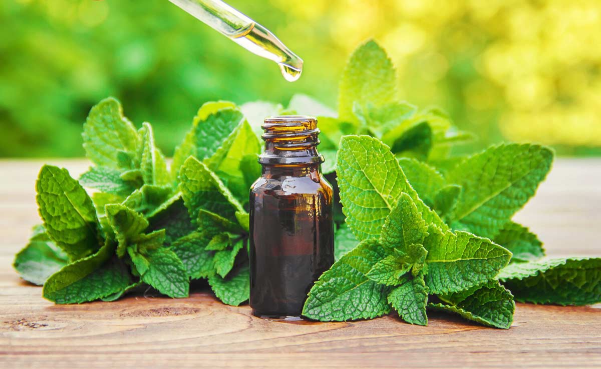 روغن نعناع برای زود انزالی